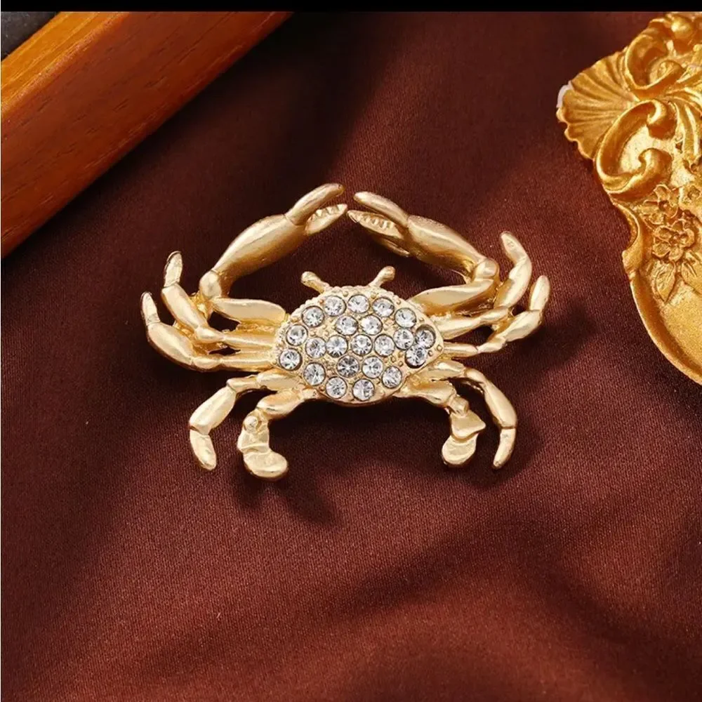 ZODIAC BROOCHES‎
